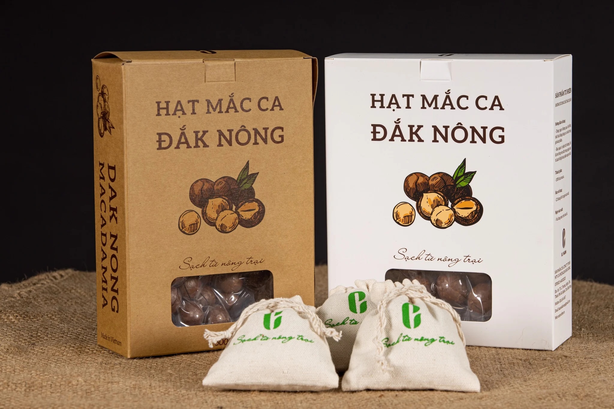 Hạt Mắc Ca là món quà giàu dinh dưỡng từ thiên nhiên Đắk Nông